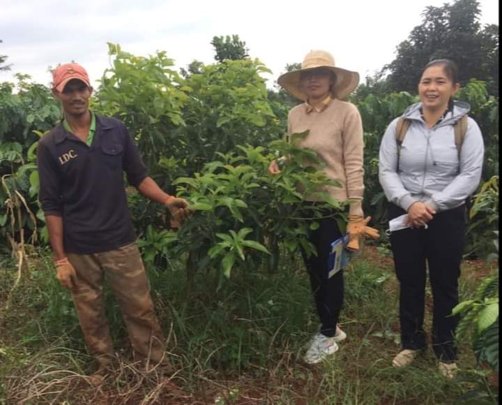 Hội nông dân tín chấp cho hội viên vay vốn tín dụng phát triển kinh tế